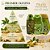 Kit Completo Muriel Pistache Com Colágeno: Óleo Natural, Loção Deo Corporal 200ml e Óleo de Banho 230ml - Imagem 4