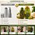 Kit  Muriel Pistache Com Colágeno: Óleo Natural Corporal 200ml e Óleo de Banho 230ml - Imagem 3