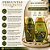 Kit  Muriel Pistache Com Colágeno: Óleo Natural Corporal 200ml e Óleo de Banho 230ml - Imagem 7