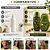 Kit Muriel Pistache Com Colágeno: Óleo Natural Corporal e Loção Deo Hidratante Corporal 200ml - Imagem 3
