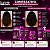 Kit DaBelle Meu Cronograma Perfeito: Shampoo 410ml e Condicionador 175ml + Máscara de Reconstrução, Óleo em Creme, Selante - Imagem 5