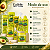Kit DaBelle Abacate Nutritivo: Shampoo 250ml, Condicionador 200ml,Recarga,Óleo em Creme, Máscara 400g, Creme de Pentear 270g, Gelatina 400g e Óleo Reparador 45ml - Imagem 5