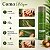 Kit Inoar Speed Dry: 3 Sprays Secantes Para Esmalte 400ml - Imagem 5