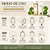 Kit Skin1004 Madagascar Centella: Tônico Facial 210ml e Creme Facial 75 ml - Imagem 8