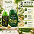 Kit Muriel Pistache Com Colágeno: Óleo Corporal 100ml e Loção Deo Hidratante 200ml - Imagem 5