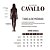 CAMISA FEMININA CAVALLO ZENZ WESTERN - Imagem 4