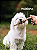 Natuka Box Relaxa P - Imagem 2