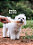 Natuka Box Relaxa P - Imagem 5