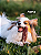 Natuka Box Relaxa P - Imagem 4