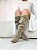 Bota Giulia Slouch Lohaz Taupe - Imagem 5