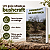 Bushcraft na Caatinga - por Arthur Jorge Fernandes - Imagem 2