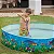 Piscina Infantil 1000 Litros Semirrigida Vida Marinha  - Bel - Imagem 3