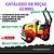 CATALOGO DE PEÇAS ROLO COMPACTADOR  CC900S DYNAPAC - Imagem 1