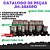 CATÁLOGO DE PEÇAS  PLANTADEIRA JM-2860PD MG ENXUTA  JUMIL - Imagem 1