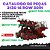 CATALOGO DE PEÇAS 2130 STACKER PLANTADEIRA 16 ROW 30IN SPACING - Imagem 1