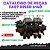 CATALOGO DE PEÇAS FAST RISER 6140 ESP 45CM PLANTADEIRA CASE IH - Imagem 1