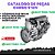 CATÁLOGO DE PEÇAS  MOTOR CURSOR 9 12V  CASE - Imagem 1