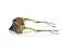OAKLEY PLANTARIS 9437-03 - Imagem 6