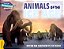 Animals Of The Ice Age Gold Band - Imagem 1