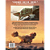 The Mandalorian - Arte E Imagens - Volume 1 - Imagem 2