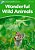 Wonderful Wild Animals - Dolphin Readers - Level 3..- - Imagem 1