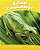 Animal Camouflage - Level 6..- - Imagem 1