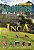 The Inca - Ladders - On Level..- - Imagem 1