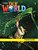 Our World British 1 - Flashcards Set - Second Edition..- - Imagem 1