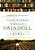 Comentário Bíblico Swindoll - João - Imagem 1