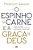 O Espinho Na Carne E A Graça De Deus Como As Piores Circunstâncias Podem Ser Usadas Para O Nosso Bem - Imagem 1