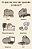 Eu Sou A Gatinha Pusheen..- - Imagem 4