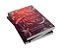 Trono De Penas E Ossos Livro 2 Da Série Mel E Gelo..- - Imagem 6