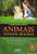 Animais - Nossos Irmãos..- - Imagem 1