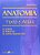 Anatomia - Texto E Atlas..- - Imagem 1