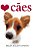 Amo Cães - Imagem 1