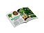 Plantas Medicinais (Coleção - Volume 1 A 6) - Imagem 3