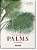 Martius. The Book Of Palms. 40Th Ed. - Imagem 1