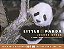 Little Panda-.. - Imagem 1