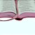 Bíblia Linha Ouro - Jesus, Letra Grande, Capa Pink, Índice Impresso, Beira Pintada Almeida Revista E Corrigida (Arc) - Imagem 3
