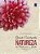 Coleção Grande Enciclopédia Natureza De Plantas Para O Jardim (6 Volumes) - Imagem 3