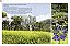 Coleção Grande Enciclopédia Natureza De Plantas Para O Jardim (6 Volumes) - Imagem 5