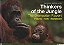 Thinkers Of The Jungle - Imagem 1