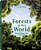 Forests In Our World How The Climate Affects Woodlands - Imagem 1