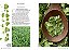 Ervas E Temperos: Conheça E Cultive (Coleção - 2 Volumes) - Imagem 5