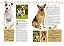 A Enciclopédia Ilustrada De Raças De Cães (Coleção Completa - 7 Livros) Um Guia Visual De A A Z Com 176 Raças Para Você Conhecer E Se Encantar - Imagem 3