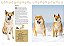 A Enciclopédia Ilustrada De Raças De Cães (Coleção Completa - 7 Livros) Um Guia Visual De A A Z Com 176 Raças Para Você Conhecer E Se Encantar - Imagem 9