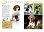 A Enciclopédia Ilustrada De Raças De Cães (Coleção Completa - 7 Livros) Um Guia Visual De A A Z Com 176 Raças Para Você Conhecer E Se Encantar - Imagem 10
