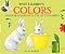 White Rabbit's Colors - Imagem 1