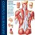 The Human Body-.. - Imagem 1