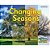 Changing Seasons-.. - Imagem 1
